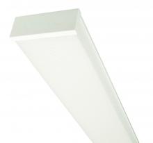 AFX Lighting, Inc. SPRL074873L40MV-BB - Spring 48" Integrated LED Linear