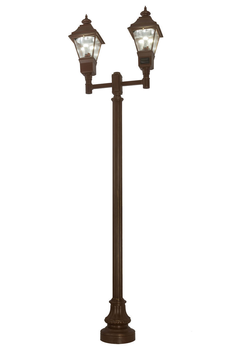 47&#34; Long Carefree 2-Light Street Lamp