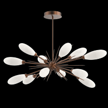 Hammerton PLB0071-0A-BB-WL-001-L3 - Fiori Oval Starburst Chandelier 50"