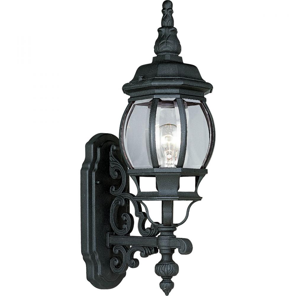 Onion Lantern Collection One-Light Wall Lantern