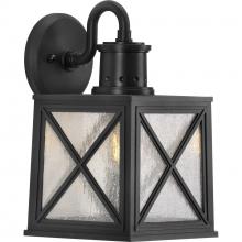 Progress P560164-031 - Seagrove Collection One-Light Medium Wall Lantern with DURASHIELD