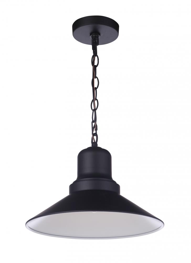 Singleton 1 Light 14&#34; Outdoor Pendant in Midnight