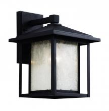 Trans Globe 40361 WB - 1LT WALL LANTERN-MD-SEEDED-WB