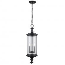 Trans Globe 51704 BK - PathLume 2 - Light Outdoor Pendant