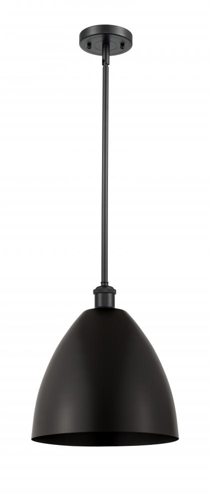 Bristol - 1 Light - 12 inch - Matte Black - Pendant