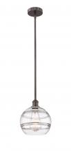 Innovations Lighting 616-1S-OB-G556-10CL - Rochester - 1 Light - 10 inch - Oil Rubbed Bronze - Cord hung - Mini Pendant