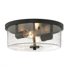 Golden 4307-FM BLK-SD - Rayne Flush Mount in Matte Black with Seeded Glass