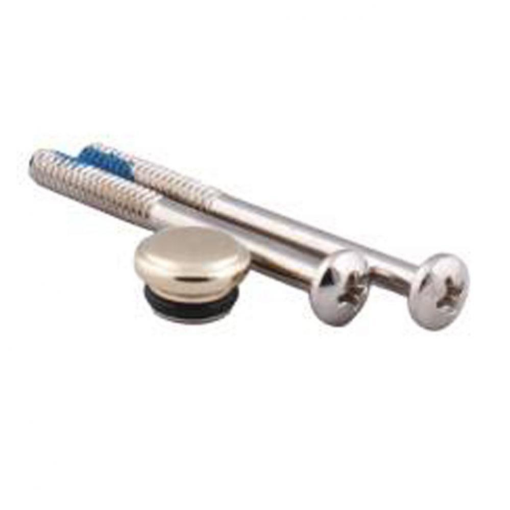 Handle cap and screw