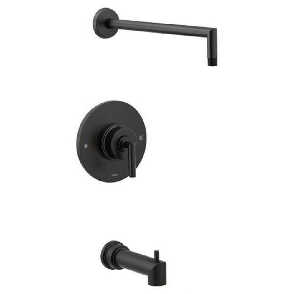 Matte black Moentrol tub/shower