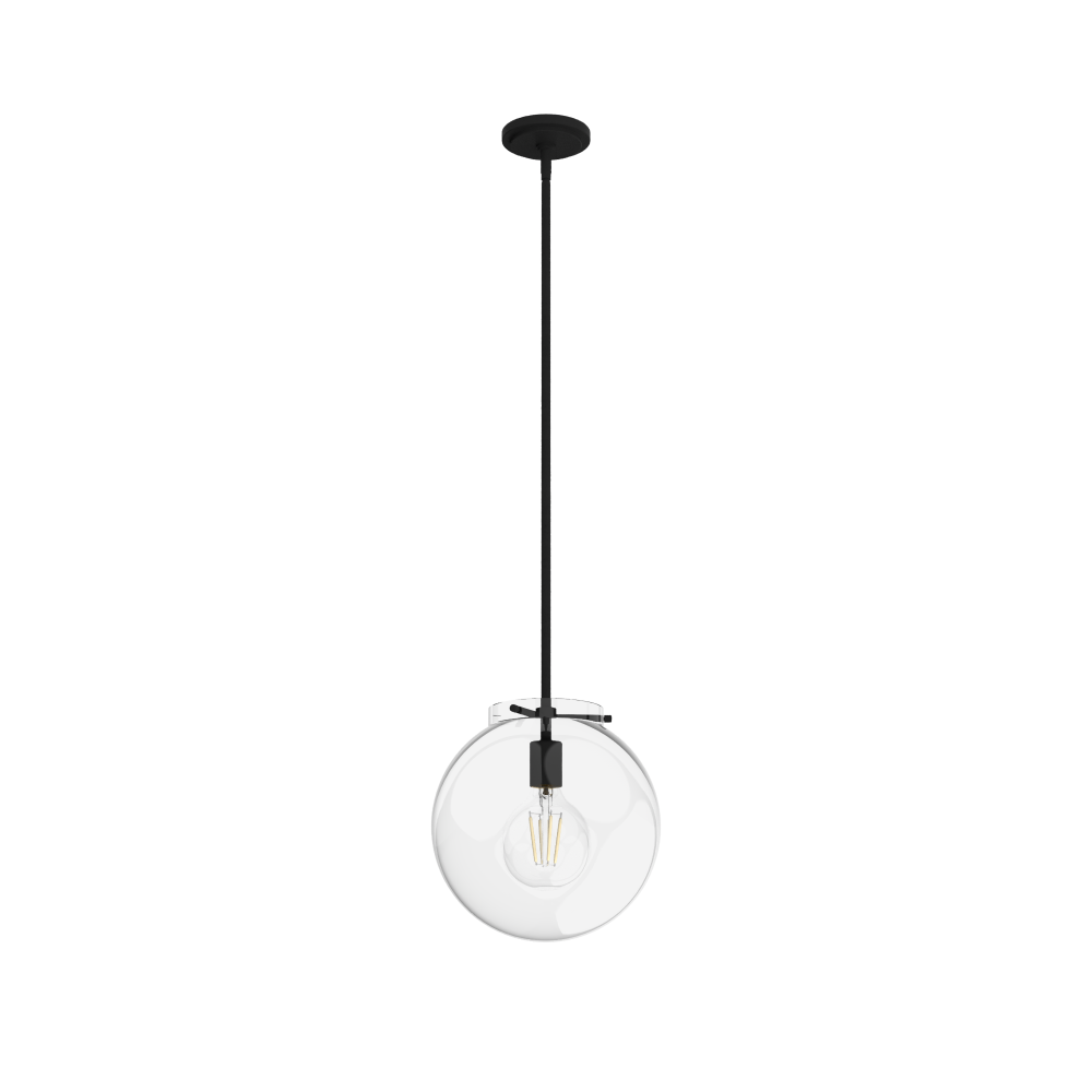 Hunter Sacha Natural Black Iron with Clear Glass 1 Light Pendant Ceiling Light Fixture
