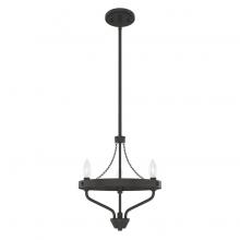 Hunter 19804 - Hunter Merlin Noble Bronze 3 Light Chandelier Ceiling Light Fixture