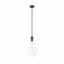 Hunter 19565 - Hunter Lundin Noble Bronze with Clear Glass 1 Light Pendant Ceiling Light Fixture