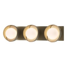 Hubbardton Forge 201378-SKT-84-86-GG0711 - Brooklyn 3-Light Straight Double Shade Bath Sconce