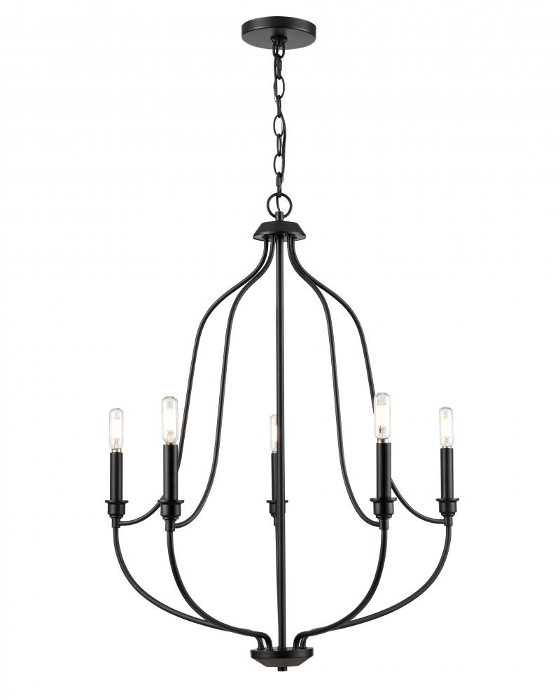 Chandelier Ceiling Light