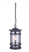 Canarm IOL343BK - DUFFY, 1 Lt Chain Pendant Outdoor, Seeded Glass, 100W Type A, 9 1/2" W x 16 1/8" H