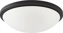 Nuvo 60/2949 - 4-Light Dome Flush Mount Lighting Fixture in Textured Black Finish with White Glass and (4) 13W GU24
