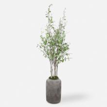 Uttermost 60146 - Aldis Potted River Birch