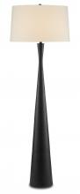 Currey 8000-0105 - Montenegro Black Floor Lamp